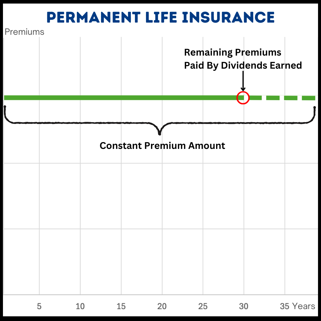 Graph showing the premium stability of a Permanent Life Insurance policy over 35 years, with dividends covering premiums after a certain point.